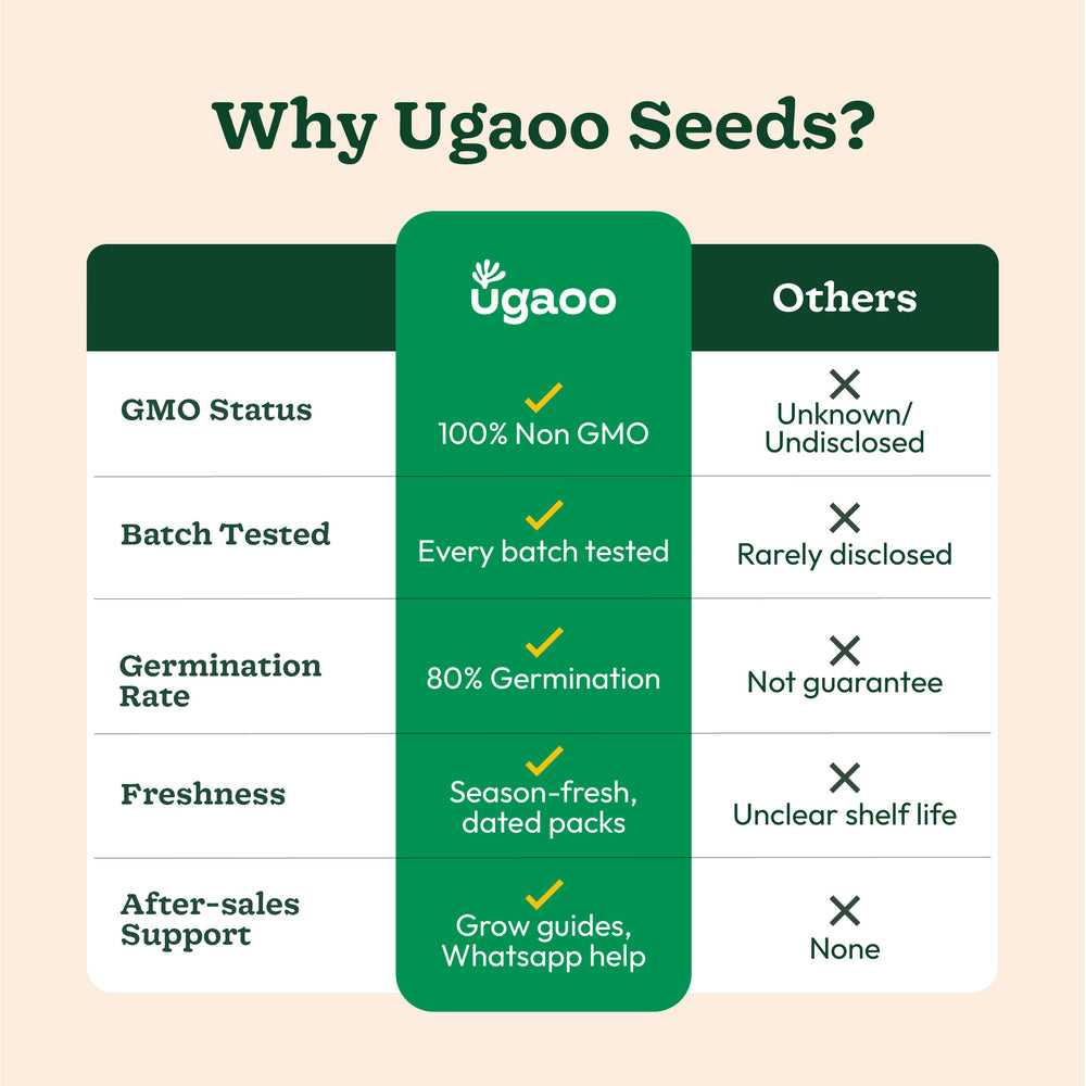 NUVSO266