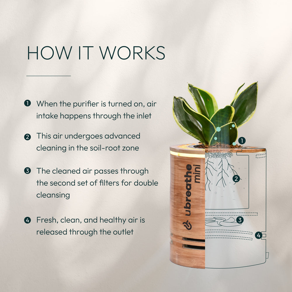 Mini Classic - Air Purifier for Home