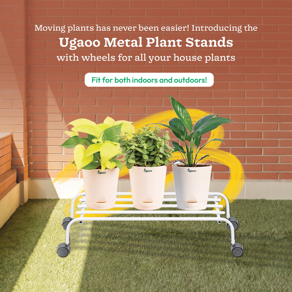 plant pot stands argos Buy Stylish and Sturdy Metal Plant Stands with Wheels