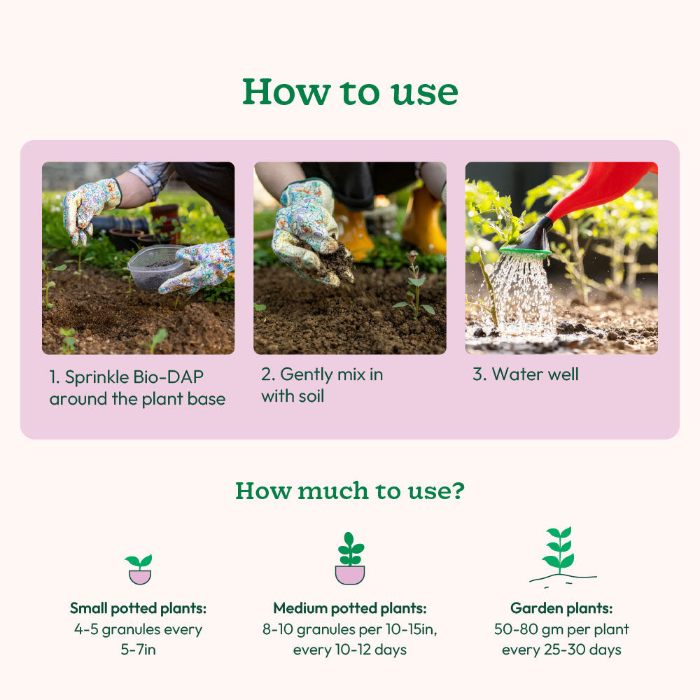 Bio DAP Fertilizer for Plants