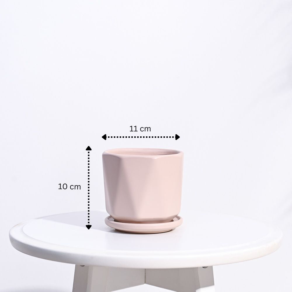 Ganpati Decor Festive Bundle