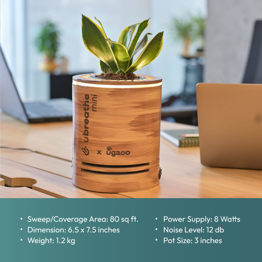 Mini Classic - Air Purifier for Home