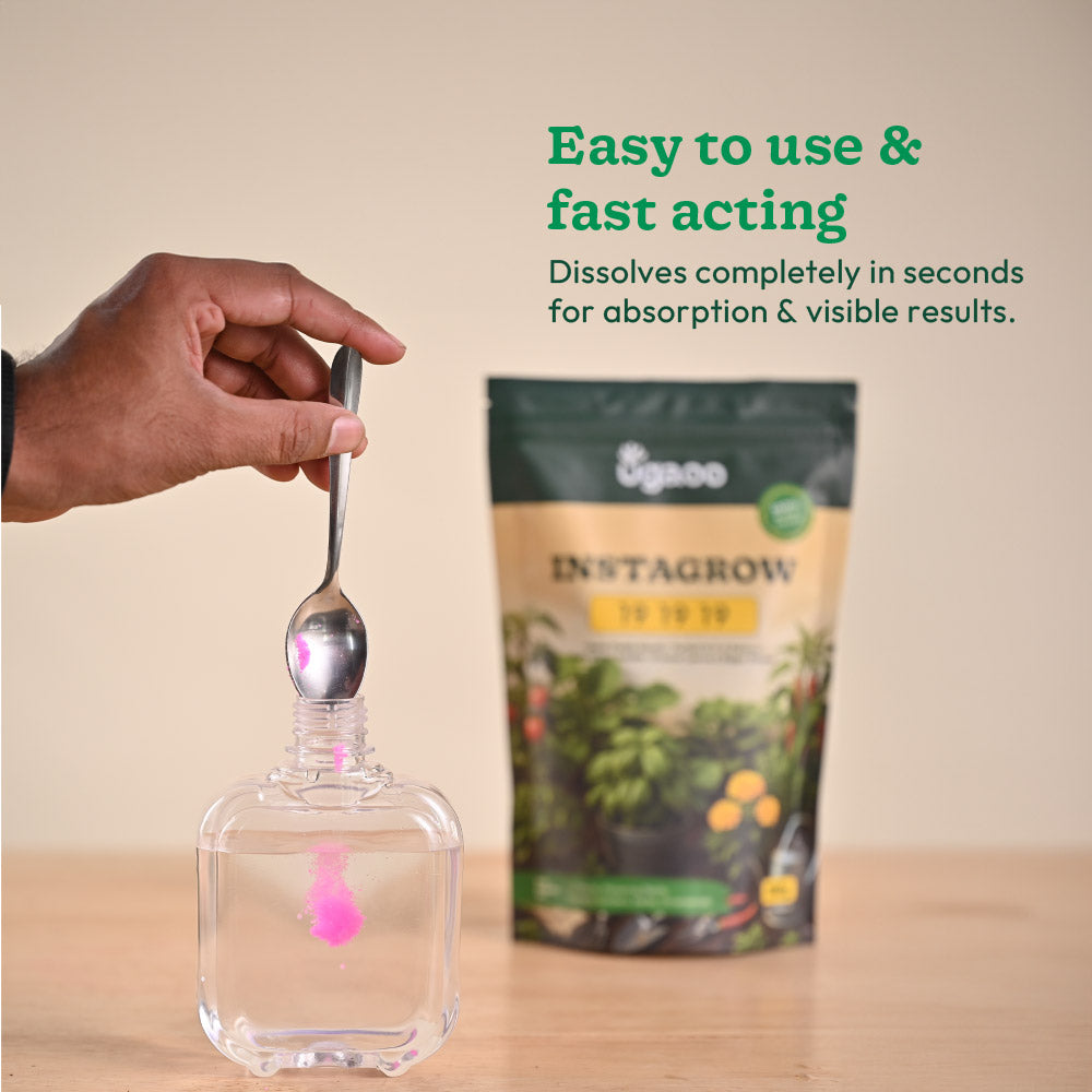 Instagrow NPK 19:19:19 Fertilizer