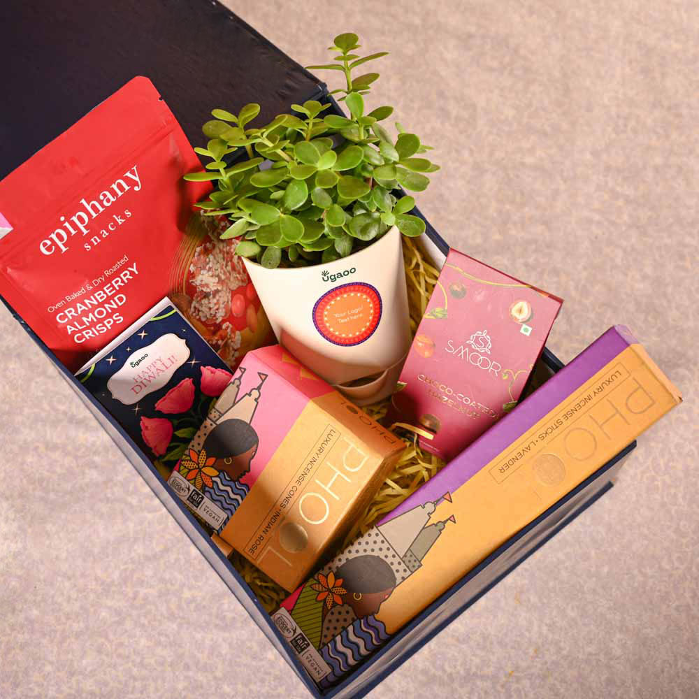 Phool Box Jade Mini Plant & Phool Stick Box Diwali Gift Hamper