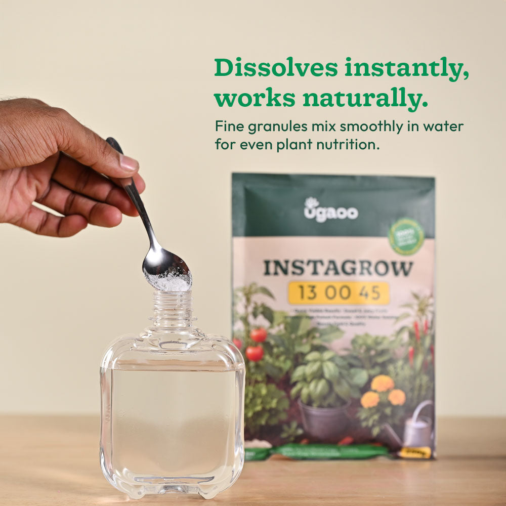 Instagrow NPK 13:00:45 Fertilizer