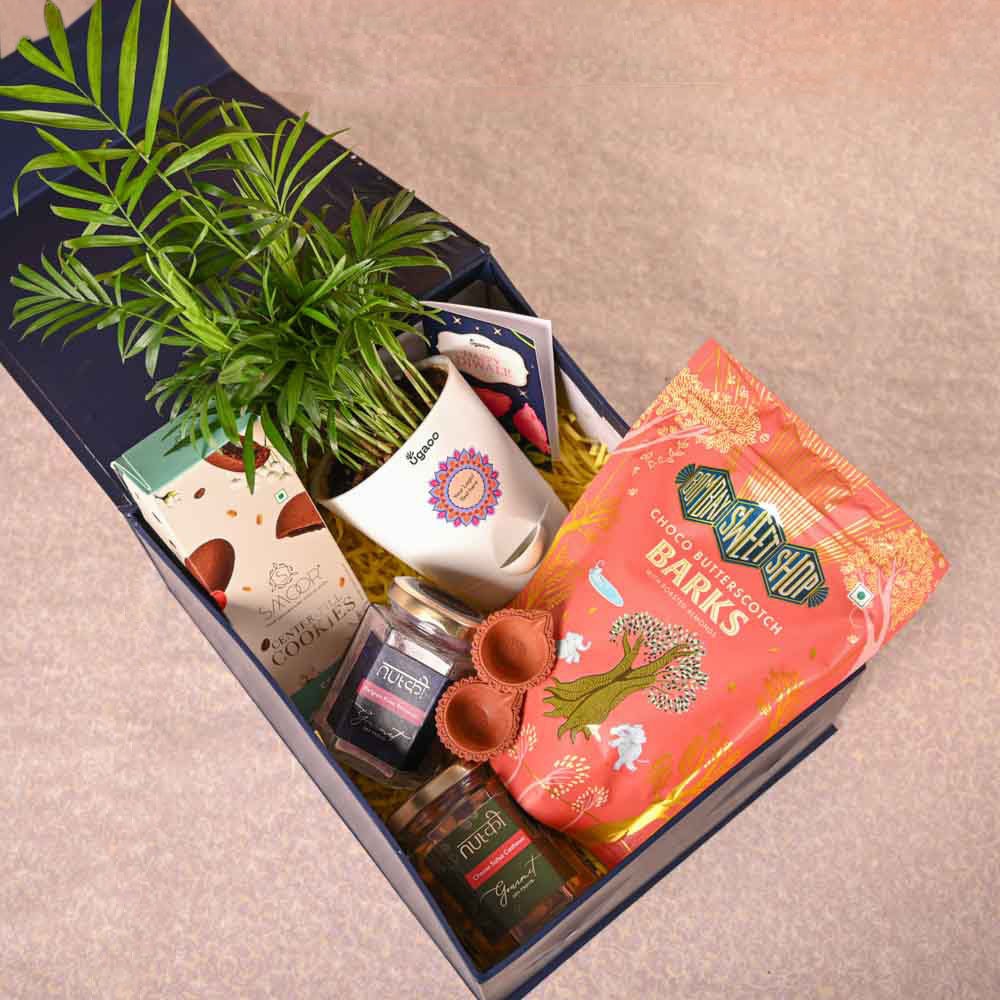 Bamboo Palm Plant &amp; Bombay Sweet Shop Diwali Gift Hamper