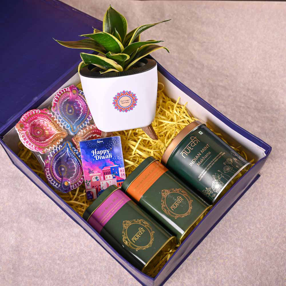 Snake Plant Golden Hahnii &amp; Nutki Diwali Gift Hamper