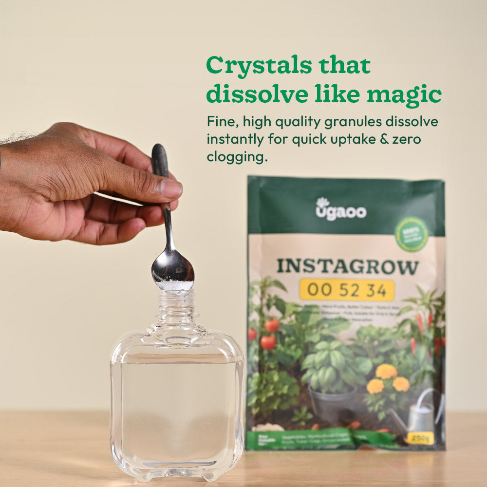 Instagrow NPK 00:52:34 Fertilizer