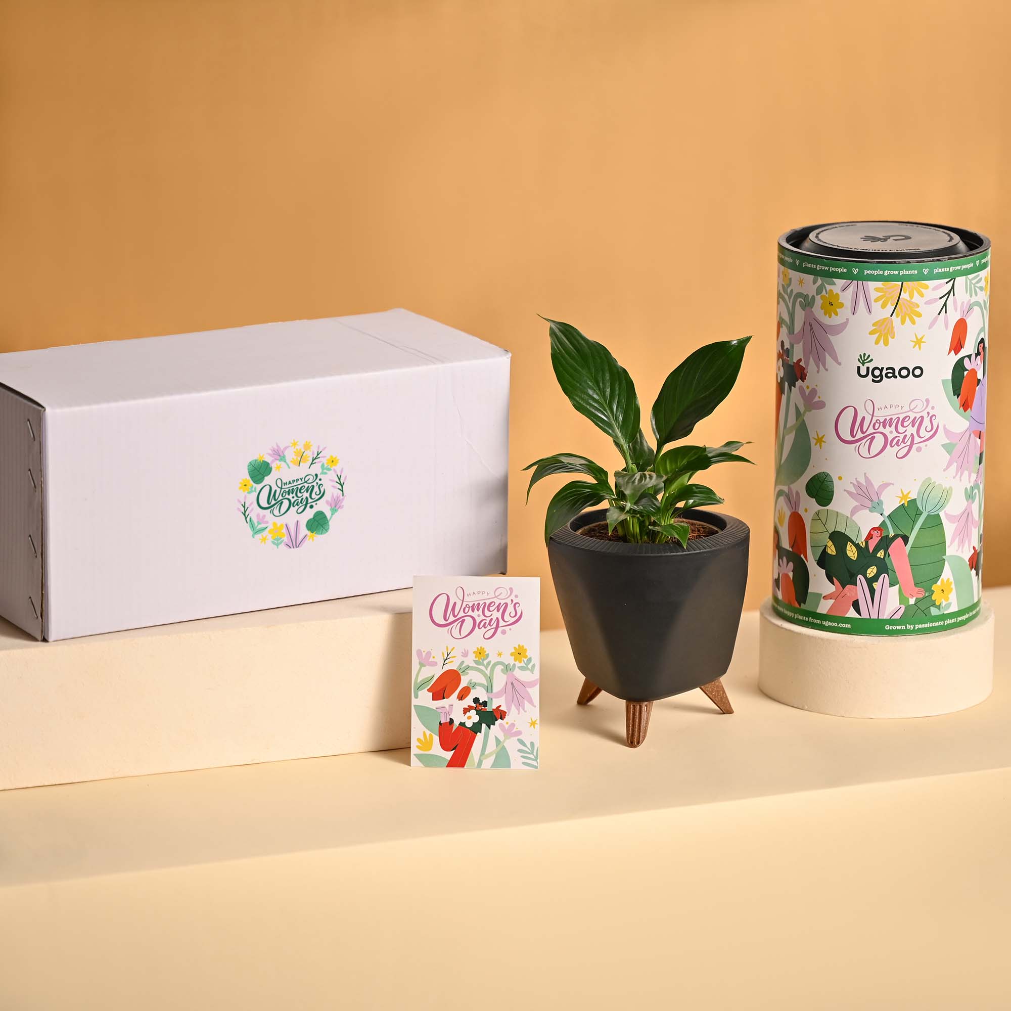 Grace &amp; Growth – Women’s Day Plant &amp; Chocolate Hamper