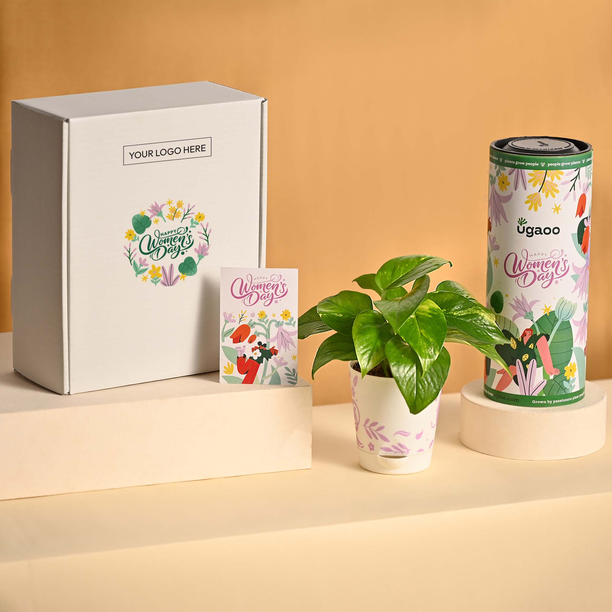 Prosper &amp; Shine – Women’s Day Gifting Hamper