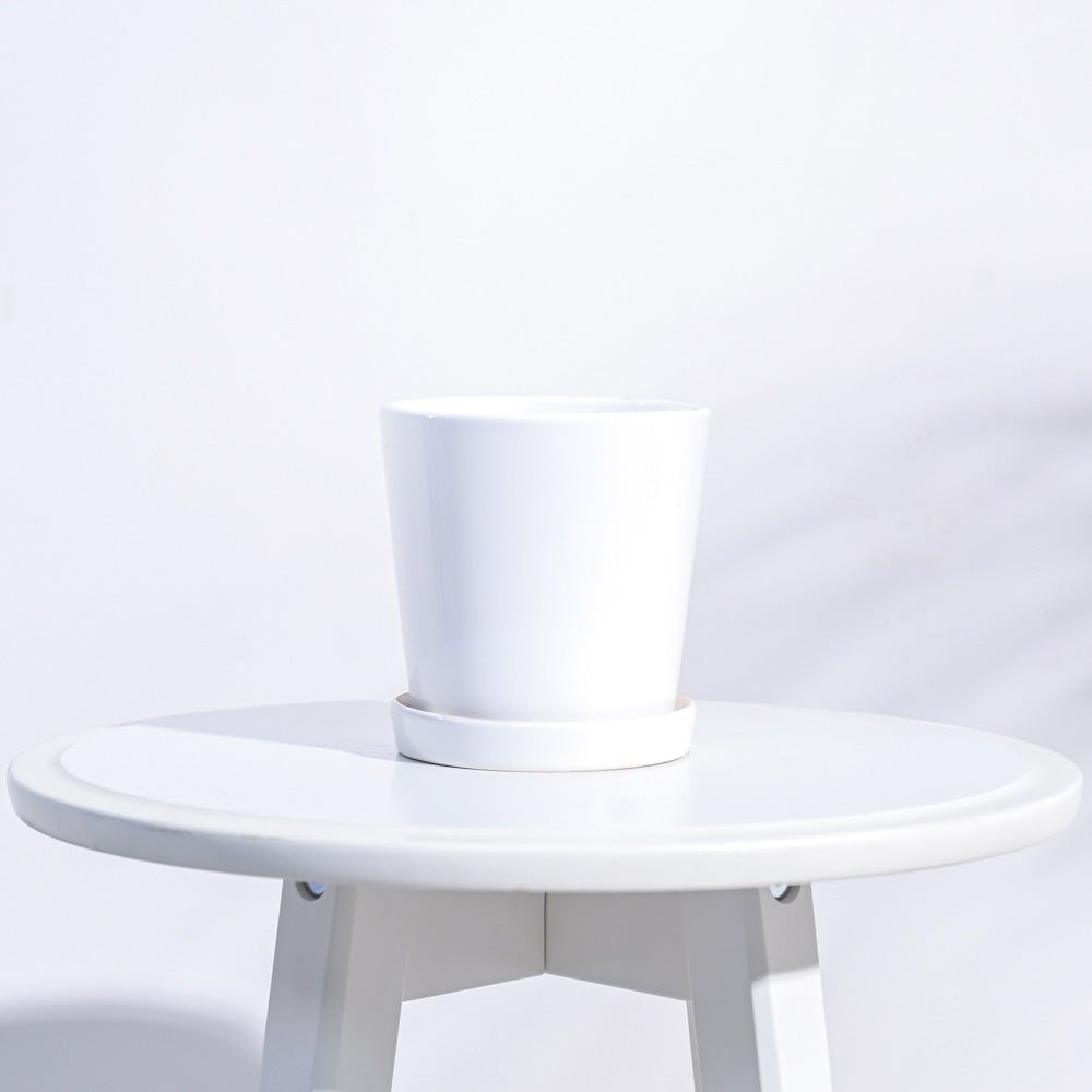 Table Pot Table Top Ceramic Pot - White – Ugaoo