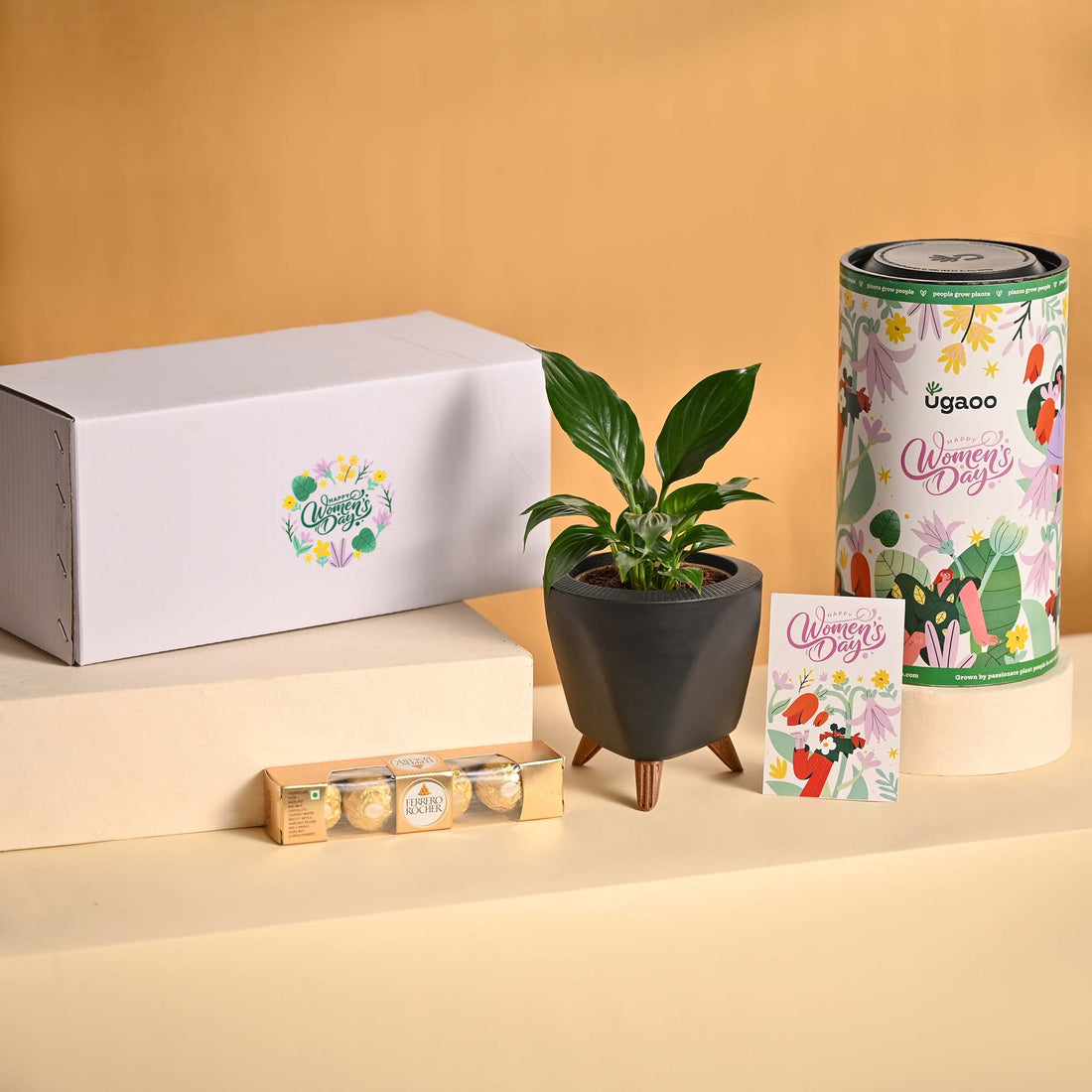 Grace &amp; Growth – Women’s Day Plant &amp; Chocolate Hamper