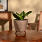 NUPL0065LMC