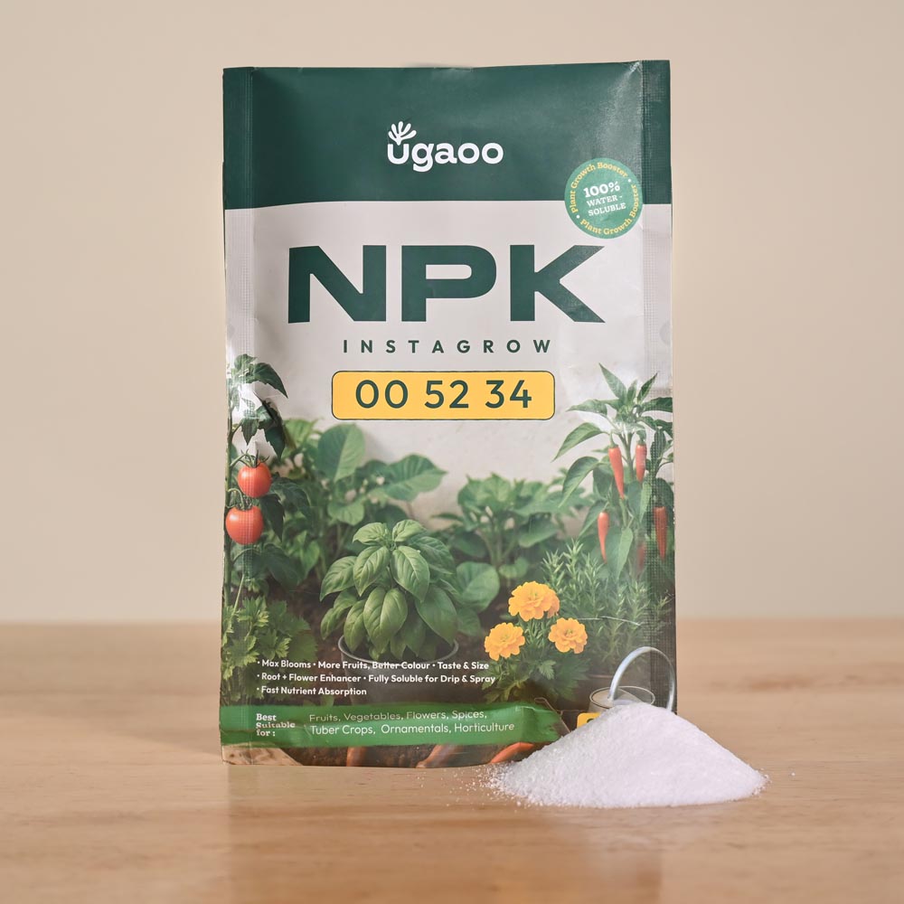 Instagrow NPK 00:52:34 Fertilizer