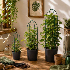 Trellis Plant Support Stands - Set of 3
