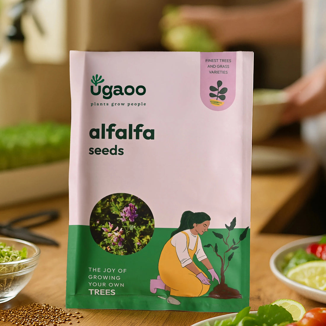 Alfalfa Seeds (Lucerne Grass)