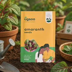 Amaranth Seeds (Chawli Bhaji)