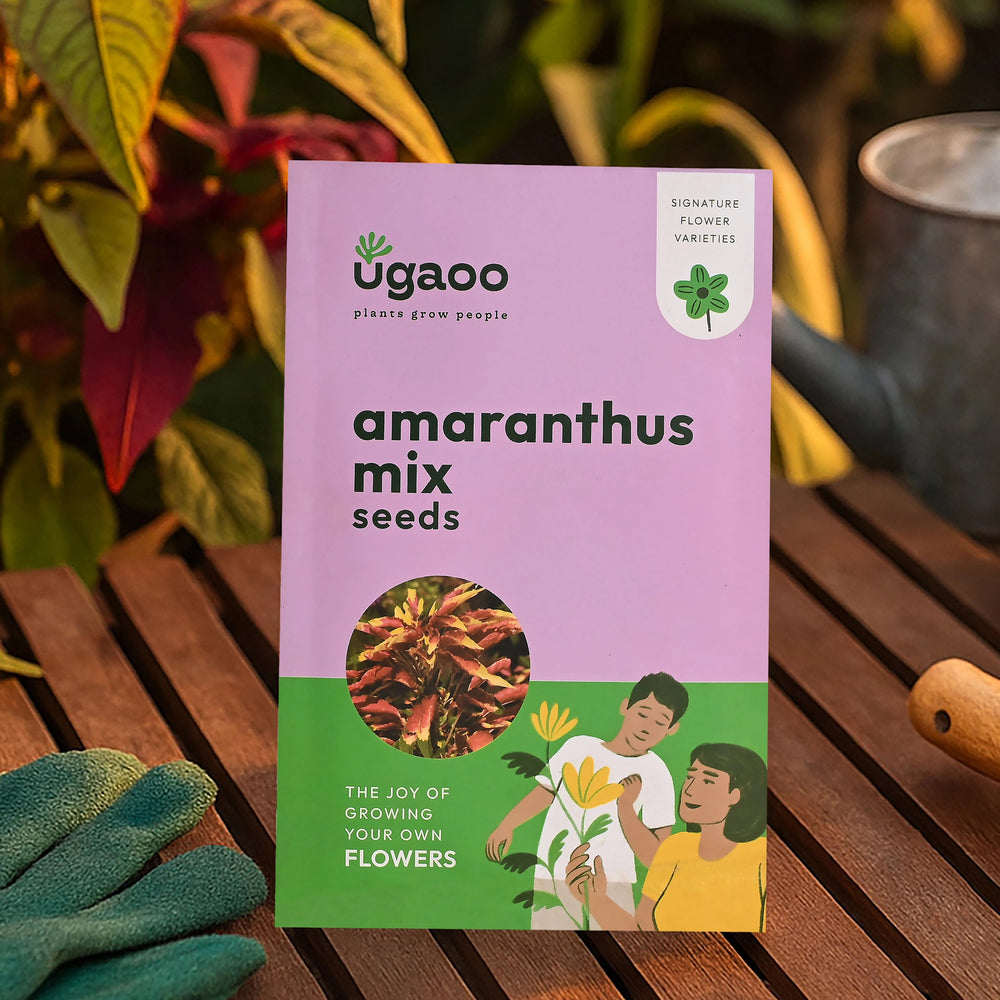 Amaranthus Mix Seeds