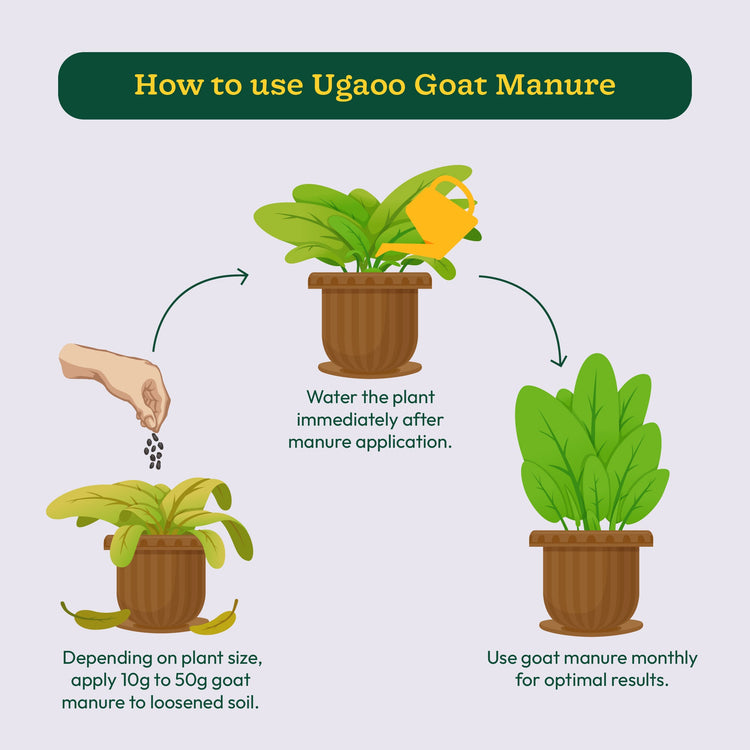Buy Goat Manure Fertilizer & Enhance Soil Health Naturally.