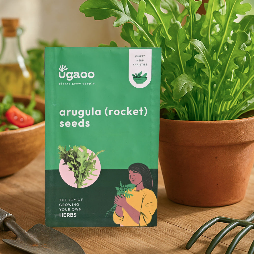 Arugula Seeds (Rocket Leaves)