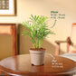 NUPL0368,NUPL0368RWT,NUPL0368RGY,NUPL0368DWT,NUPL0368TWT