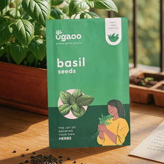 Italian Basil Seeds