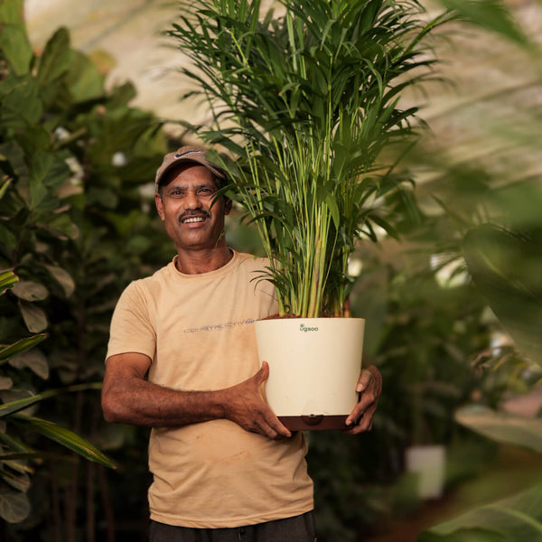 Happy planter