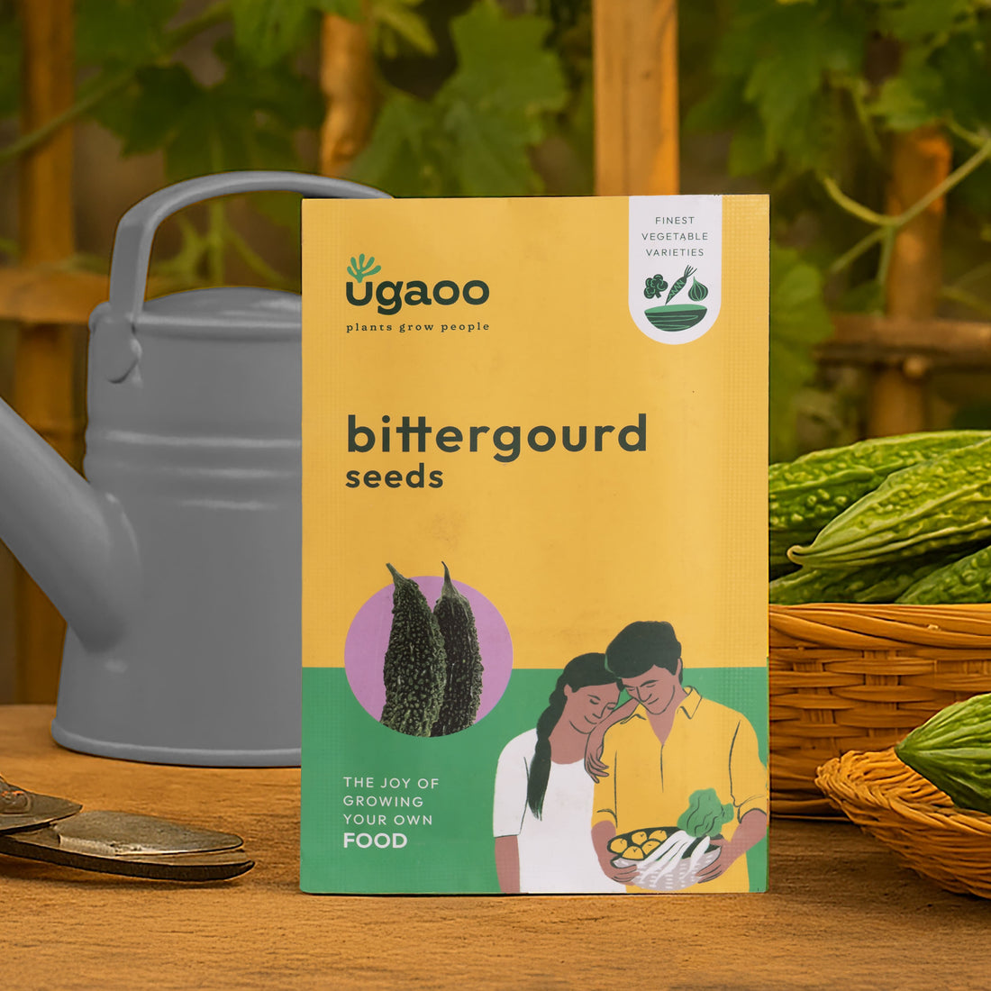 Bittergourd Seeds (Green Long)