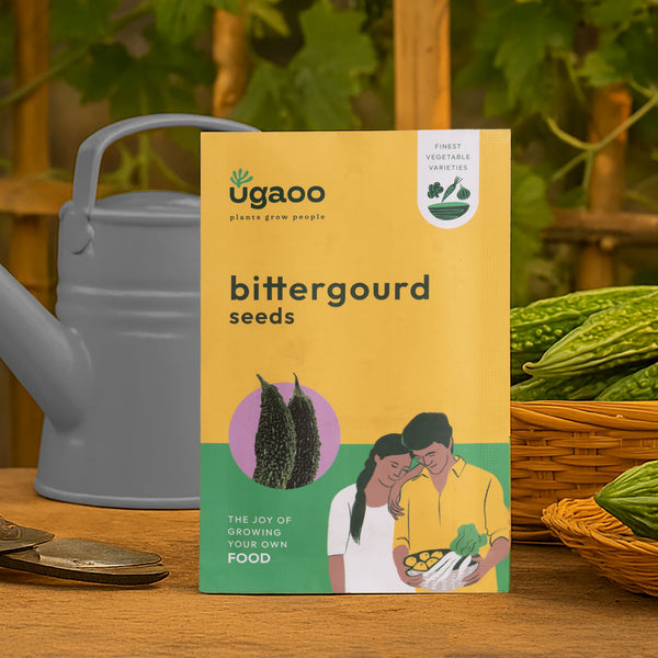 Bittergourd Seeds (Green Long)