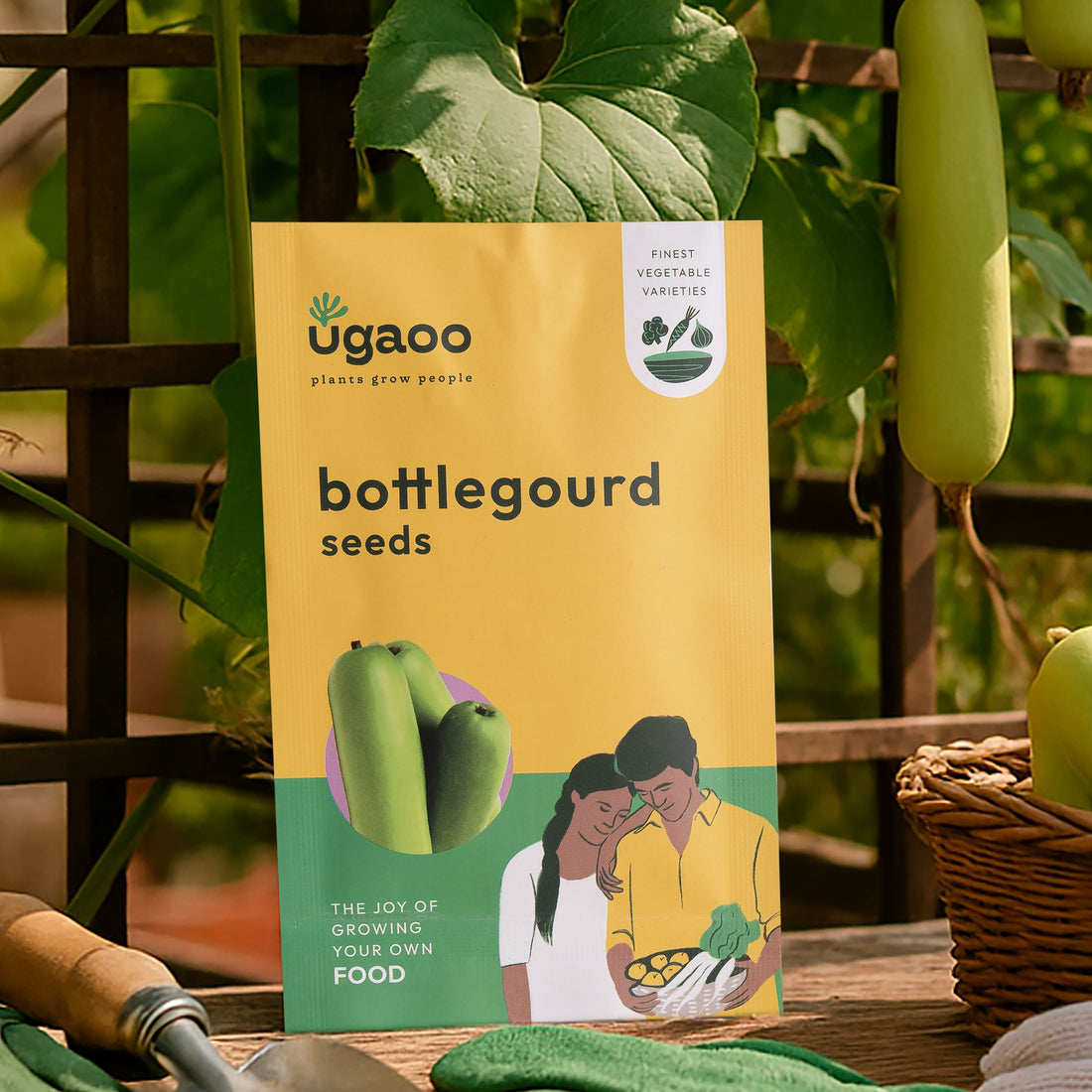 Bottlegourd Seeds (Long)