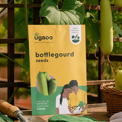 Bottlegourd Seeds (Long)