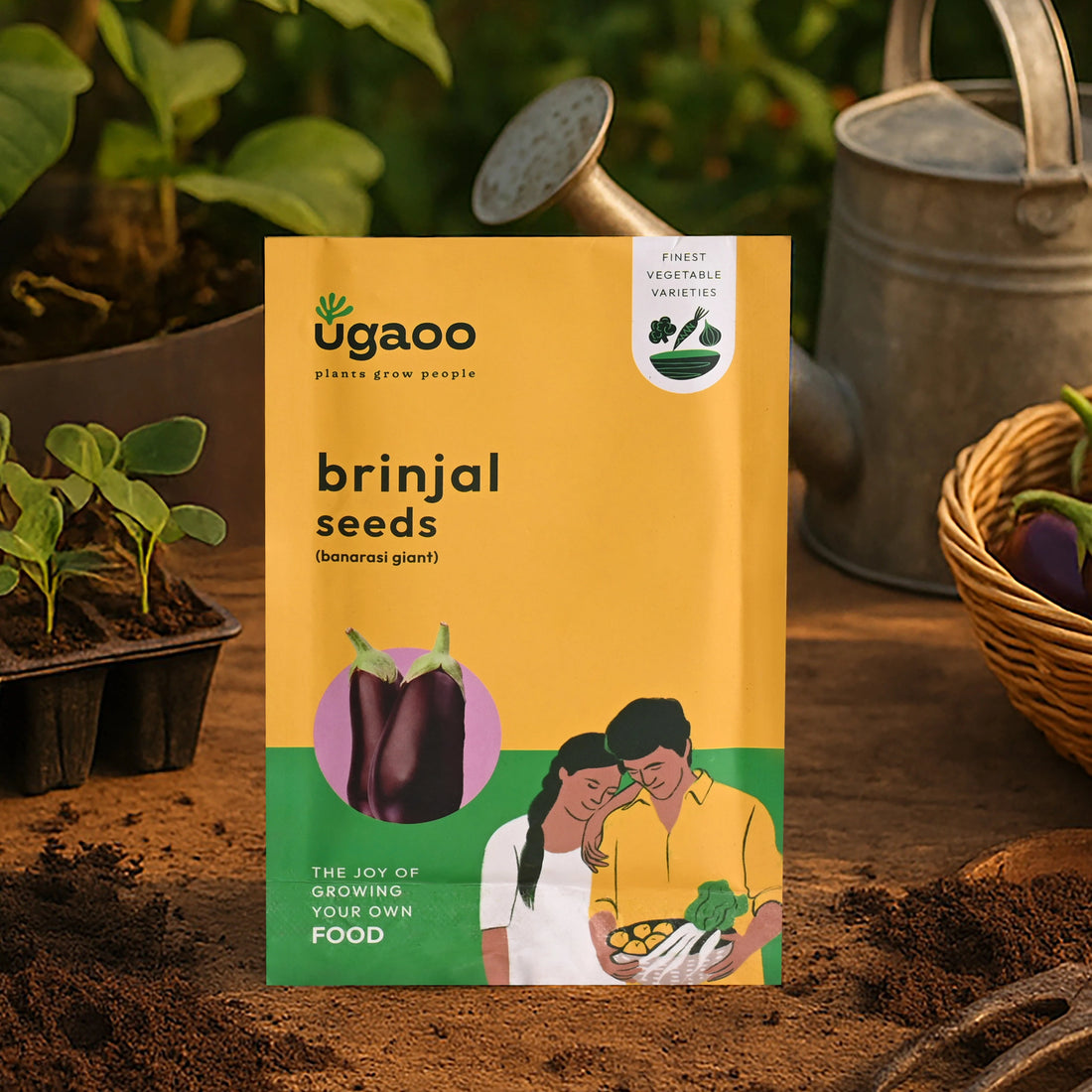 Brinjal Banarasi Giant Seeds