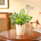 NUPL0019KIY,NUPL0019KWT,NUPL0019KBN