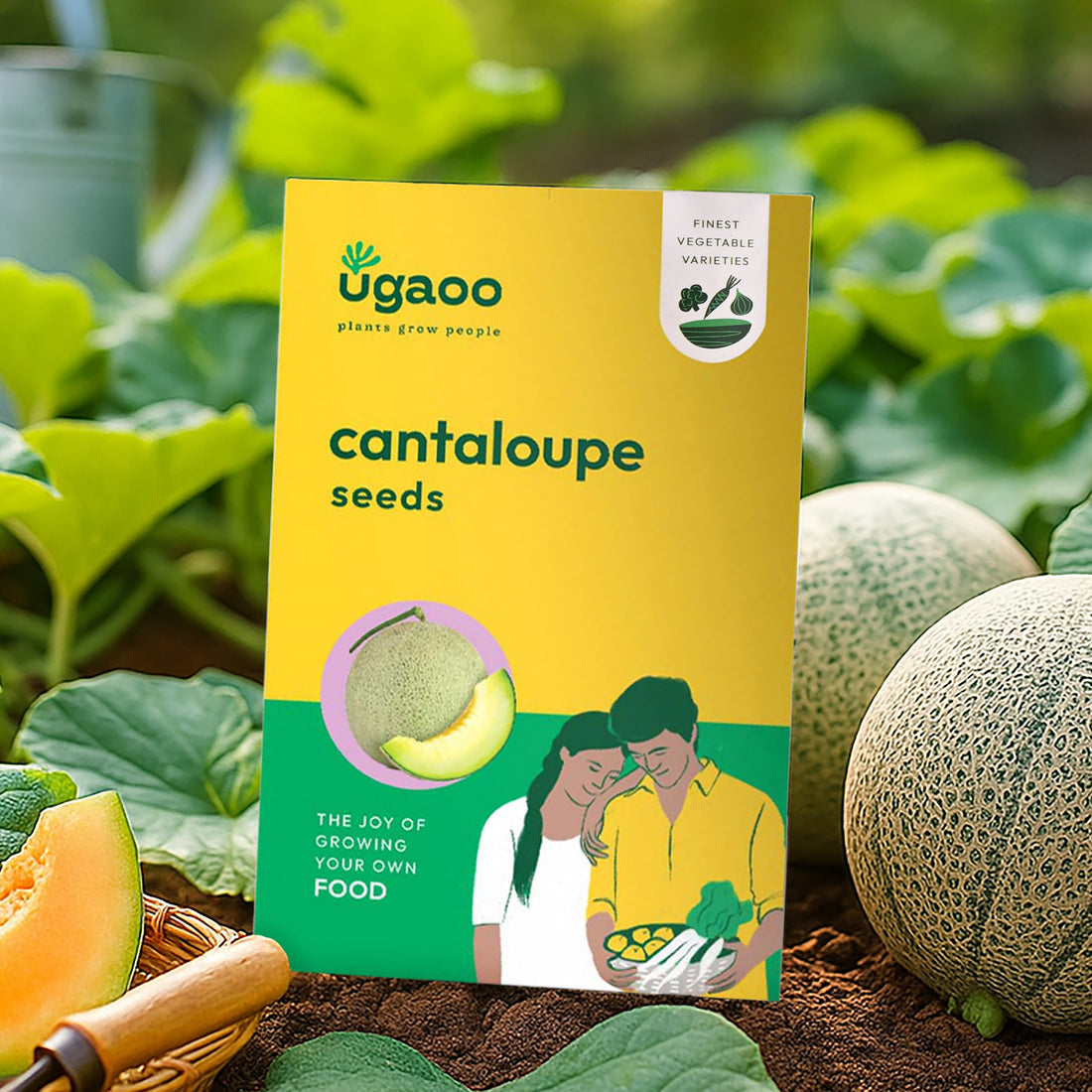 Cantaloupe Seeds (Muskmelon)