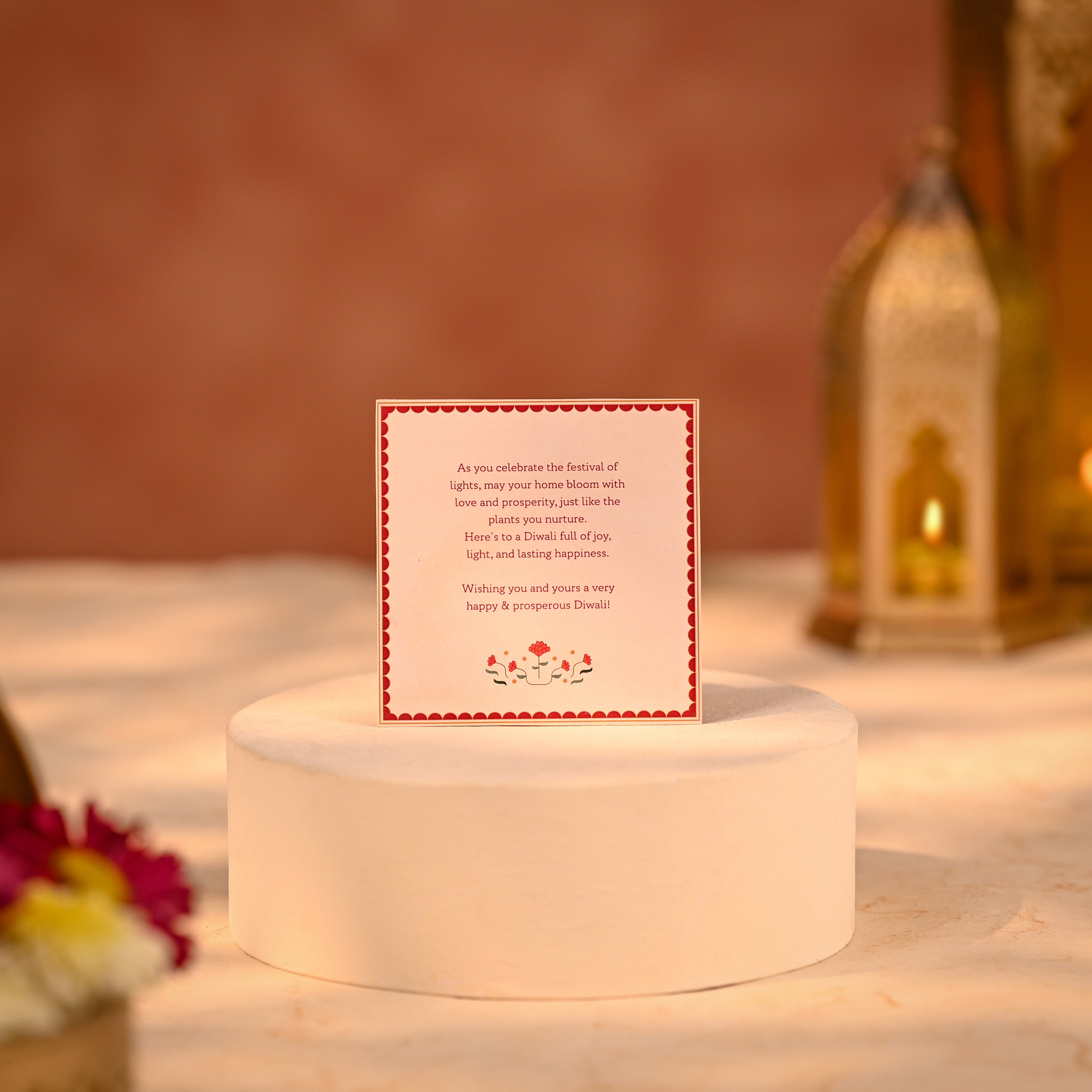 Money Plant Variegated Corporate Diwali Gift