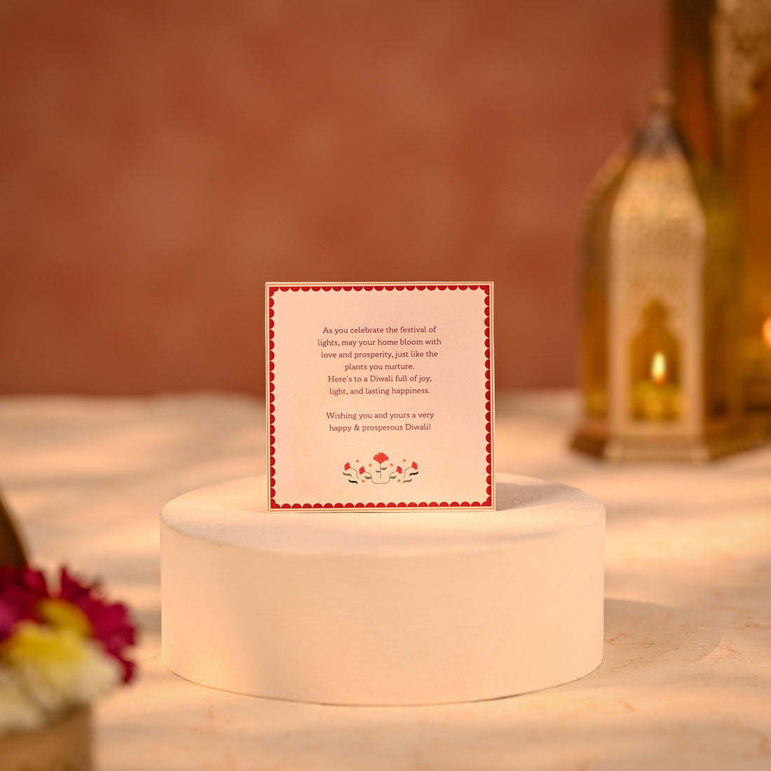 Snake Plant Green - Lucky Diwali Gift Plant