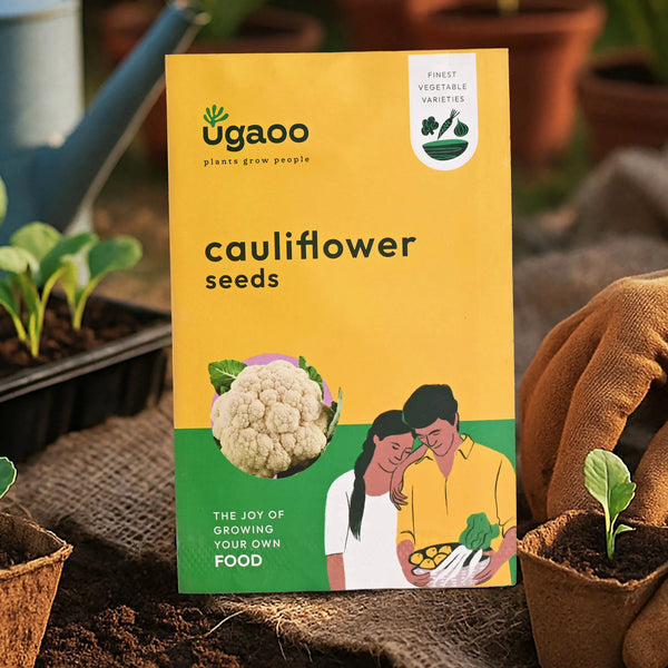 Cauliflower Seeds