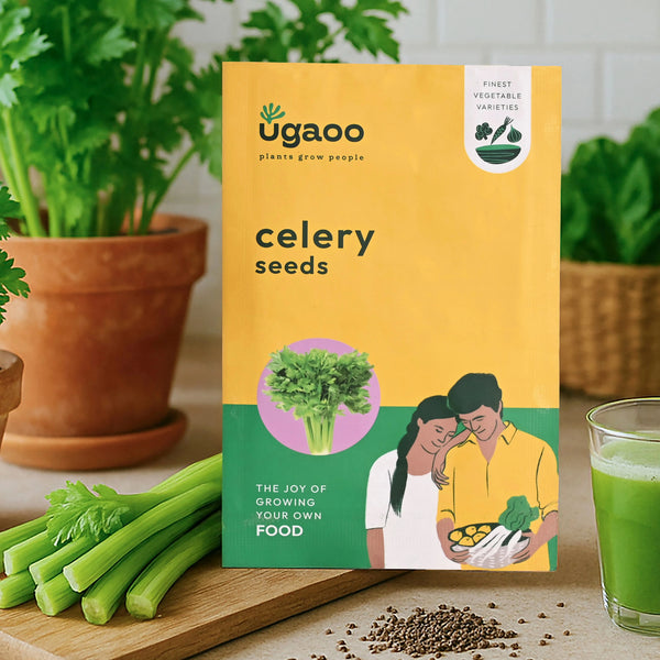 Celery Seeds