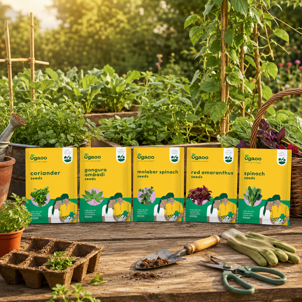 Leafy Vegetable Seeds Bundle of 5 Packet