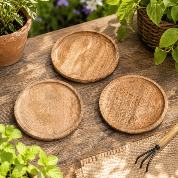 Wooden Plant Tray - Set of 3