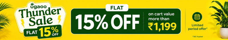 Offer banner