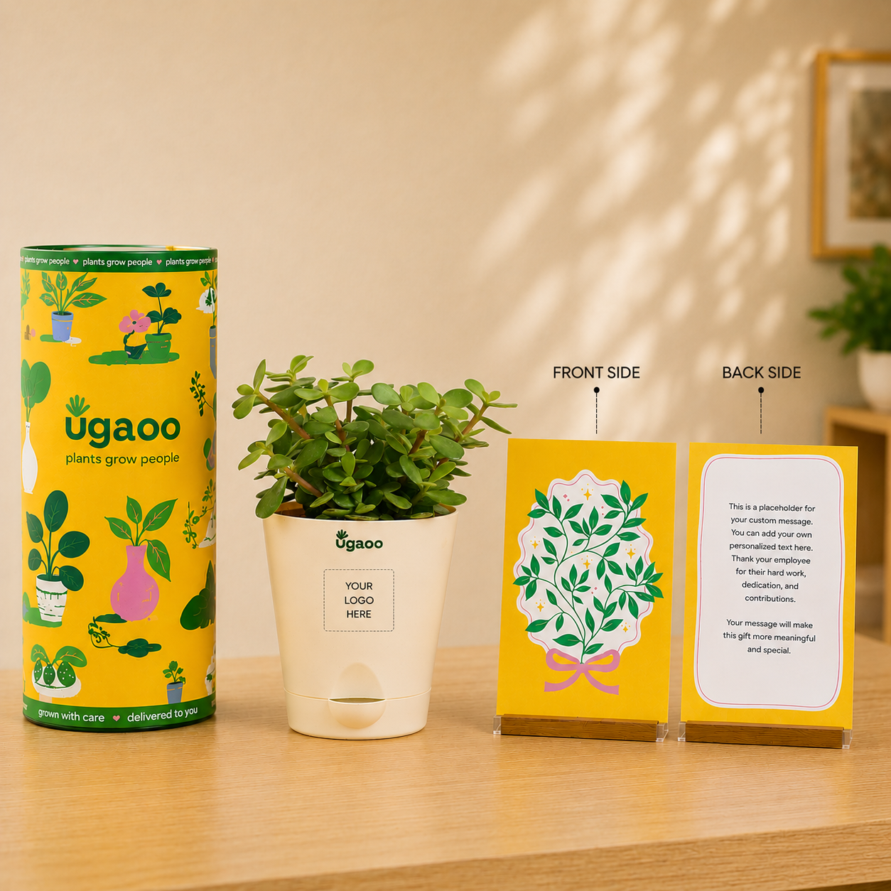 Jade Mini  Corporate Branding Edition