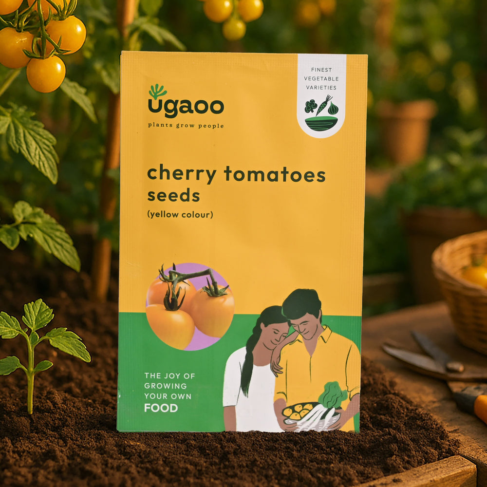 Cherry Tomatoes Seeds (Yellow)