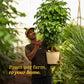 The China Doll Plant - XL