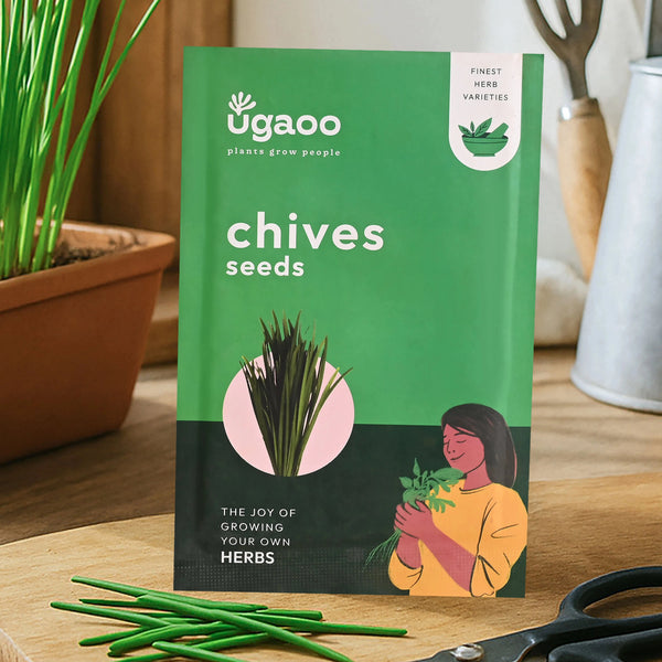 Chives Seeds