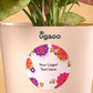 Syngonium Pink Plant Diwali Gift