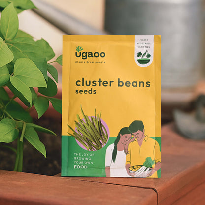 Cluster Beans Seeds