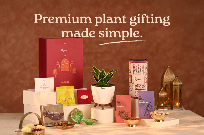 corporate_gifting