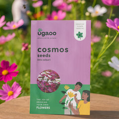 Cosmos Mix Seeds