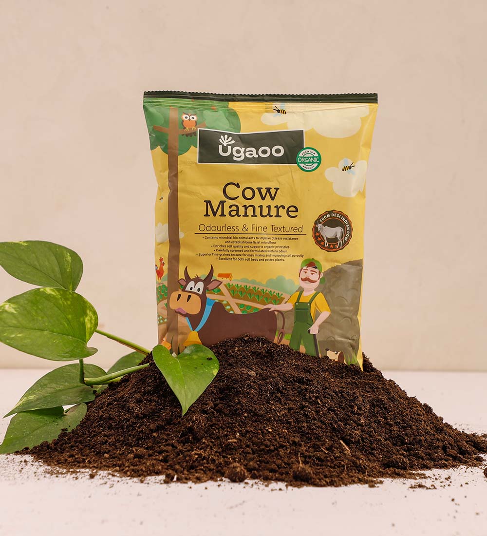 cow fertilizer for plants Cow Manure